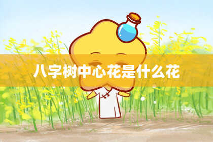 八字树中心花是什么花