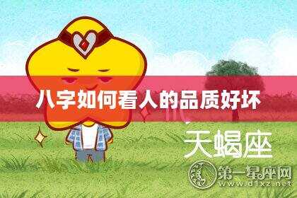 八字如何看人的品质好坏