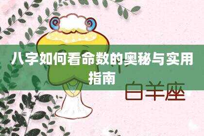八字如何看命数的奥秘与实用指南