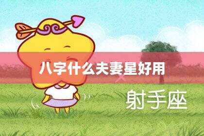 八字什么夫妻星好用