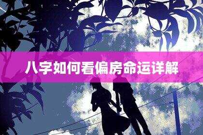 八字如何看偏房命运详解