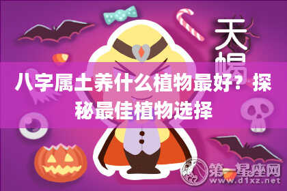 八字属土养什么植物最好？探秘最佳植物选择