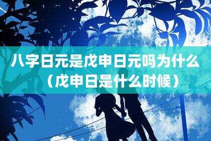 八字日元是戊申日元吗为什么（戊申日是什么时候）