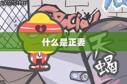 什么是正妻