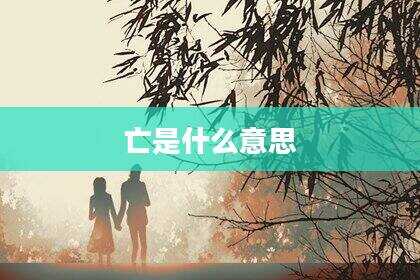 亡是什么意思