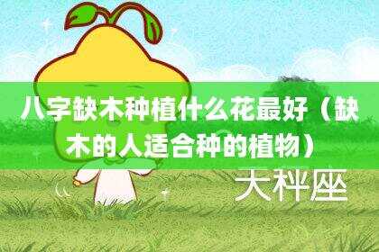 八字缺木种植什么花最好（缺木的人适合种的植物）