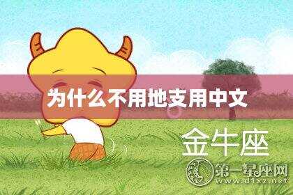 为什么不用地支用中文