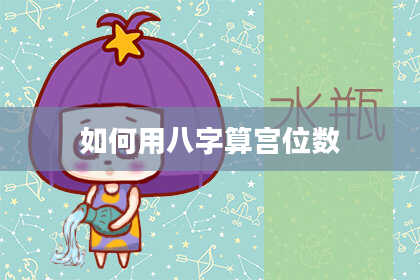 如何用八字算宫位数