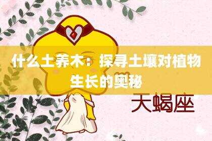 什么土养木：探寻土壤对植物生长的奥秘