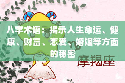 八字术语：揭示人生命运、健康、财富、恋爱、婚姻等方面的秘密