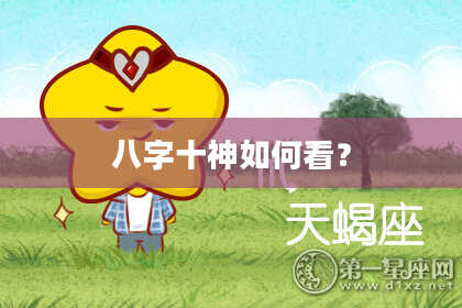 八字十神如何看？