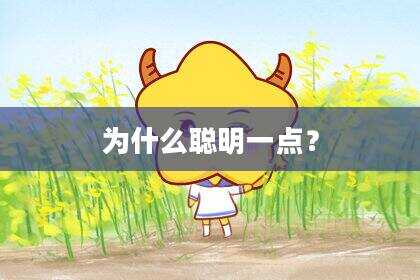 为什么聪明一点？