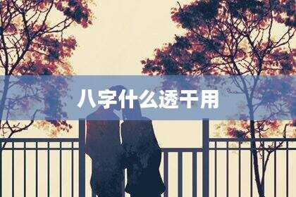 八字什么透干用