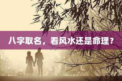 八字取名，看风水还是命理？