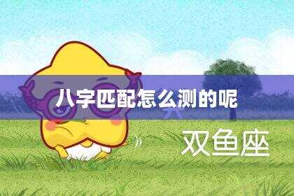 八字匹配怎么测的呢