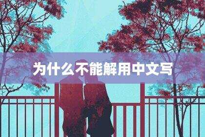 为什么不能解用中文写