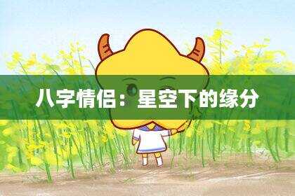 八字情侣：星空下的缘分